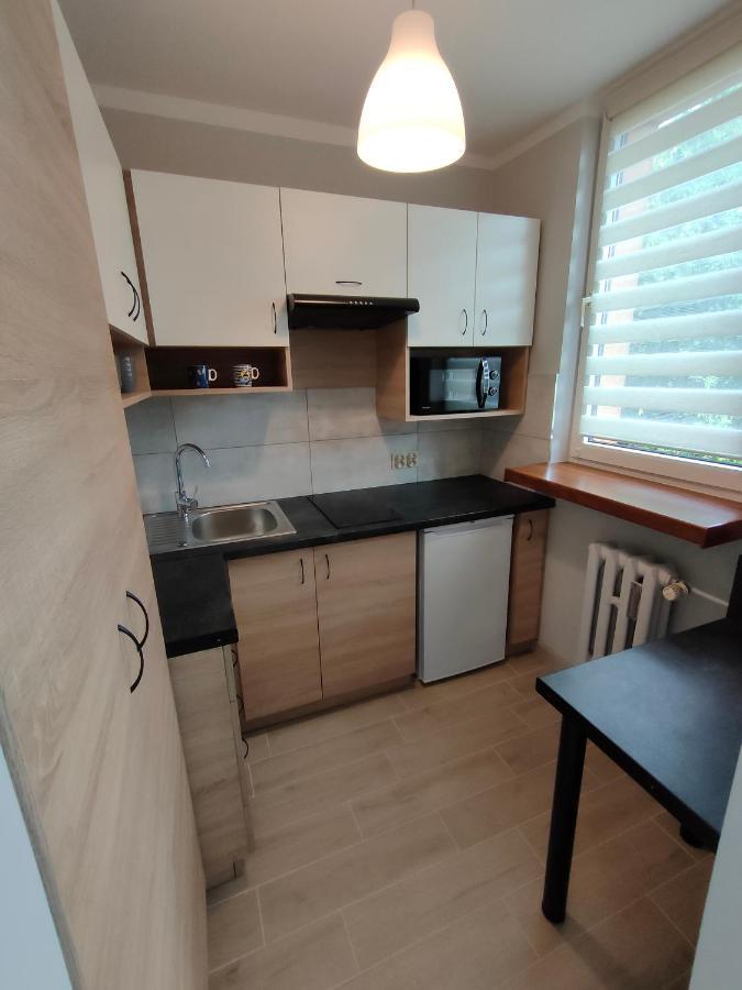 Appartement Apartament Cichy Kacik Zator Tylko 1Km Od Energylandii Extérieur photo